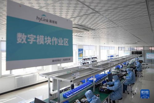 中國最北自貿區(qū) 數字經濟轉型中的軟件技術開發(fā)新引擎