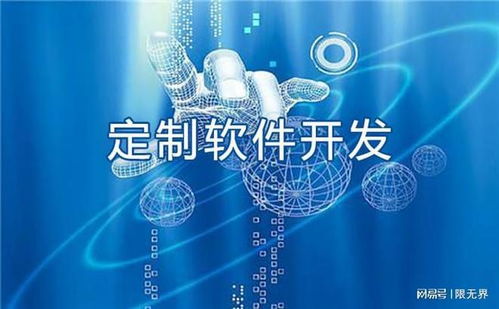 上海五家代表性軟件開發(fā)企業(yè)深度解析 技術(shù)實(shí)力與發(fā)展路徑