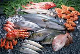 水產(chǎn)品與農(nóng)產(chǎn)品保鮮技術(shù)綜述